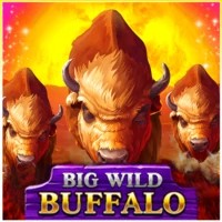 game logo by Belatra Games on baxter-bets.com